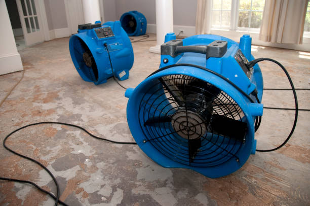 Maquoketa, IA Water damage restoration Company