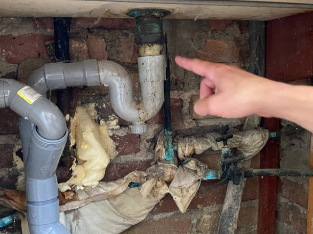 Best Flooded house restoration  in Maquoketa, IA