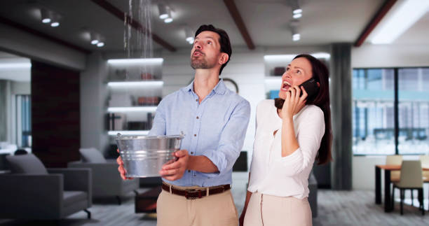 Reliable Maquoketa, IA Water damage restoration Solutions